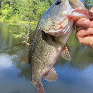 Meet your Posher, Ben